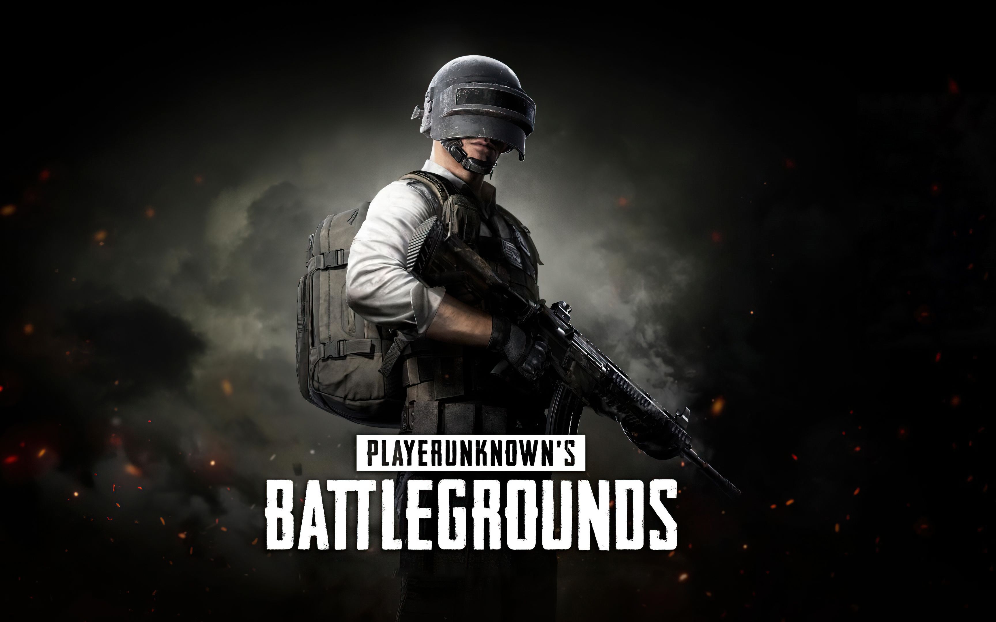 它需要的是 它需要的是